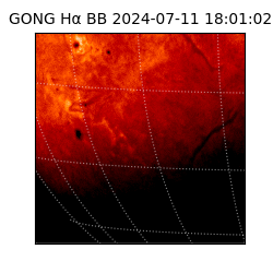 gong - 2024-07-11T18:01:02
