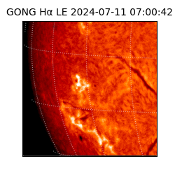 gong - 2024-07-11T07:00:42