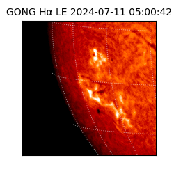 gong - 2024-07-11T05:00:42