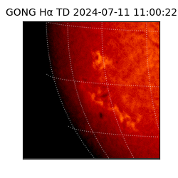 gong - 2024-07-11T11:00:22