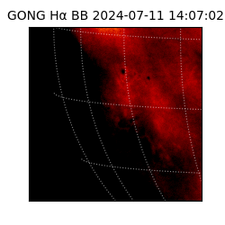 gong - 2024-07-11T14:07:02