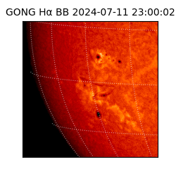 gong - 2024-07-11T23:00:02