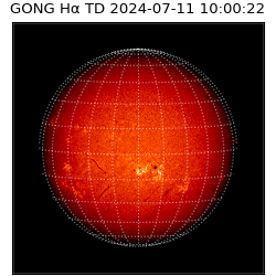 gong - 2024-07-11T10:00:22