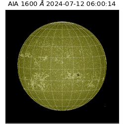 saia - 2024-07-12T06:00:14.126000