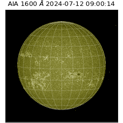 saia - 2024-07-12T09:00:14.126000