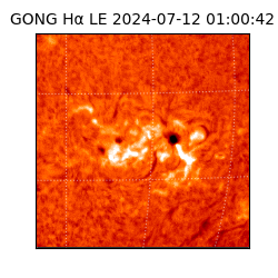 gong - 2024-07-12T01:00:42