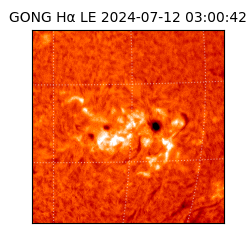 gong - 2024-07-12T03:00:42