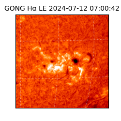 gong - 2024-07-12T07:00:42