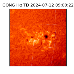 gong - 2024-07-12T09:00:22