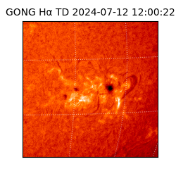 gong - 2024-07-12T12:00:22