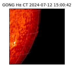 gong - 2024-07-12T15:00:42