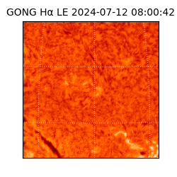 gong - 2024-07-12T08:00:42