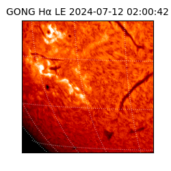 gong - 2024-07-12T02:00:42