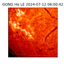 gong - 2024-07-12T06:00:42