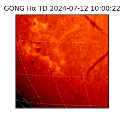 gong - 2024-07-12T10:00:22