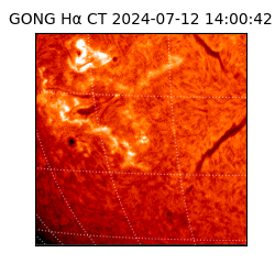 gong - 2024-07-12T14:00:42