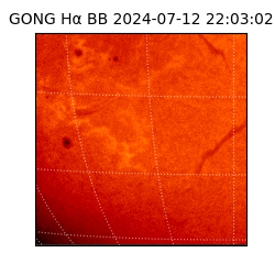 gong - 2024-07-12T22:03:02