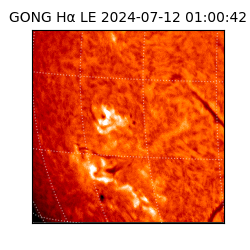 gong - 2024-07-12T01:00:42