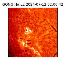 gong - 2024-07-12T02:00:42