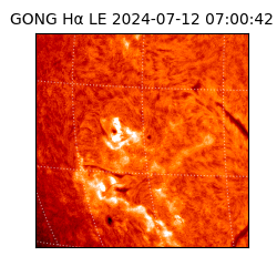 gong - 2024-07-12T07:00:42