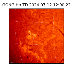 gong - 2024-07-12T12:00:22