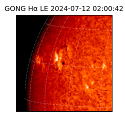 gong - 2024-07-12T02:00:42