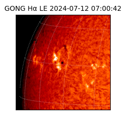 gong - 2024-07-12T07:00:42