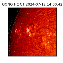 gong - 2024-07-12T14:00:42