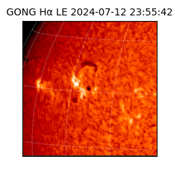 gong - 2024-07-12T23:55:42