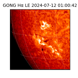 gong - 2024-07-12T01:00:42