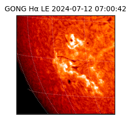 gong - 2024-07-12T07:00:42