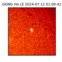 gong - 2024-07-12T01:00:42