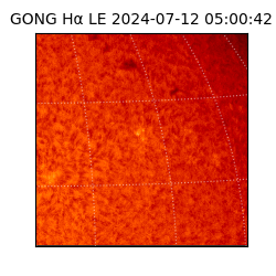 gong - 2024-07-12T05:00:42