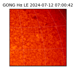 gong - 2024-07-12T07:00:42