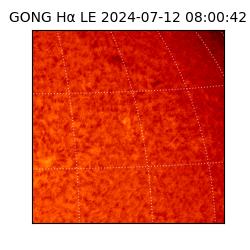 gong - 2024-07-12T08:00:42