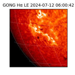 gong - 2024-07-12T06:00:42