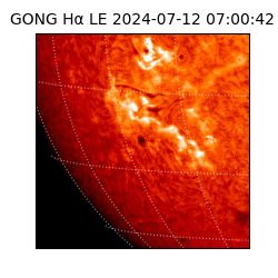 gong - 2024-07-12T07:00:42