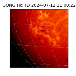 gong - 2024-07-12T11:00:22