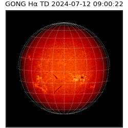 gong - 2024-07-12T09:00:22