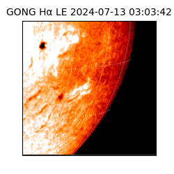gong - 2024-07-13T03:03:42