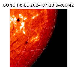 gong - 2024-07-13T04:00:42