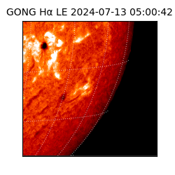 gong - 2024-07-13T05:00:42