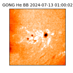 gong - 2024-07-13T01:00:02