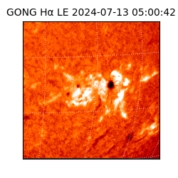 gong - 2024-07-13T05:00:42