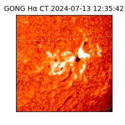 gong - 2024-07-13T12:35:42