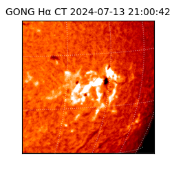 gong - 2024-07-13T21:00:42