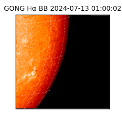 gong - 2024-07-13T01:00:02