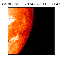 gong - 2024-07-13T03:03:42