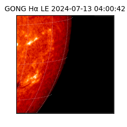 gong - 2024-07-13T04:00:42