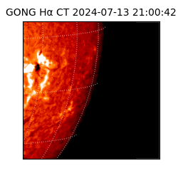 gong - 2024-07-13T21:00:42